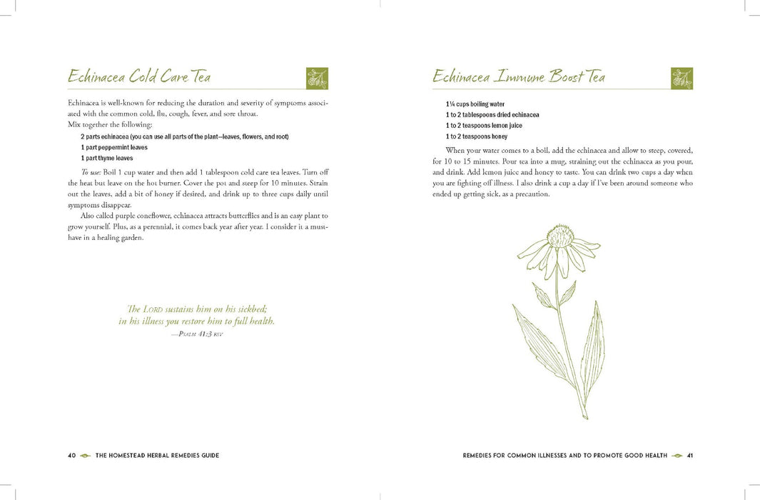 The Homestead Herbal Remedies Guide