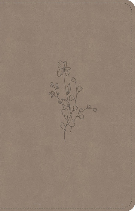 CSB Personal Size Bible, Digital Study Edition, Earth