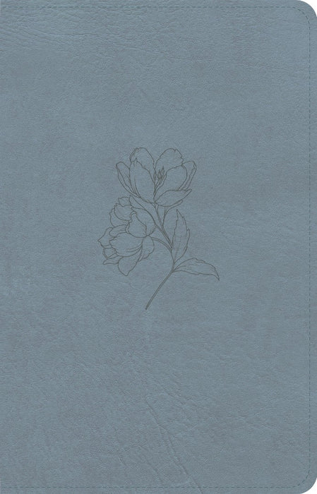 CSB Personal Size Bible, Digital Study Edition, Blue