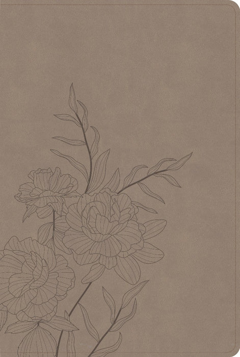 CSB Large Print Thinline Bible, Digital Study Edition