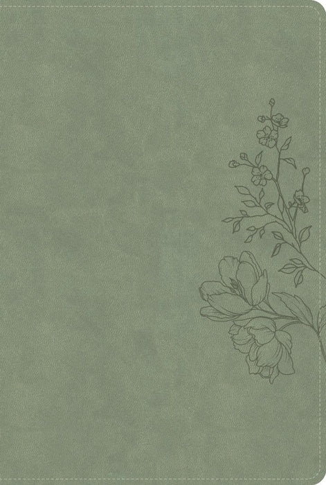 CSB Large Print Thinline Bible, Digital Study Edition, Sage