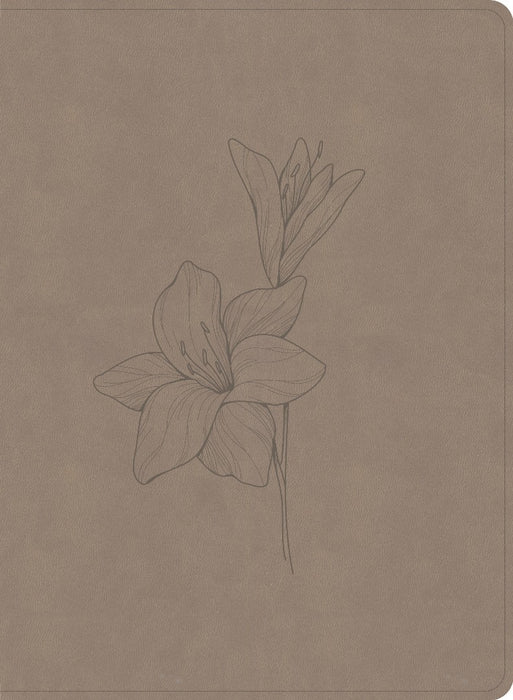 CSB Verse-By-Verse Reference Bible, Digital Study Edition