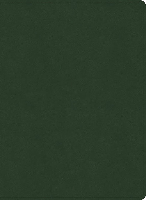 NASB Study Bible, Olive Leathertouch