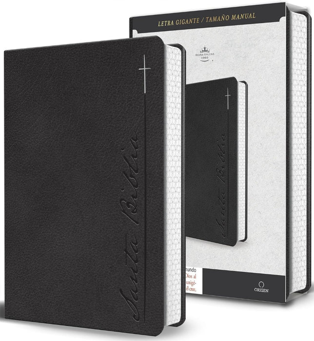 Biblia RVR60 Letra Gigante, Simil Gris Y Cantos Pintados