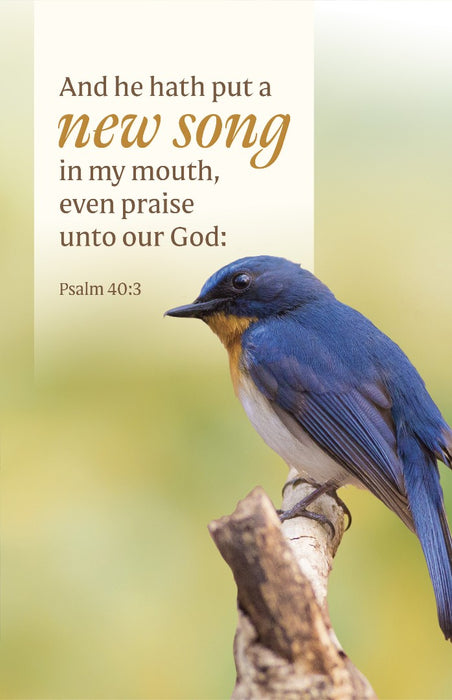 General Worship Bulletin: He Hath Put (Pack of 100)
