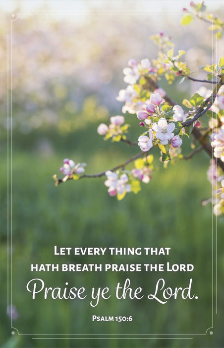 General Worship Bulletin: Let Every Thing (Pack of 100)
