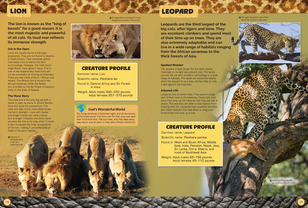 Let's Explore Amazing Animals