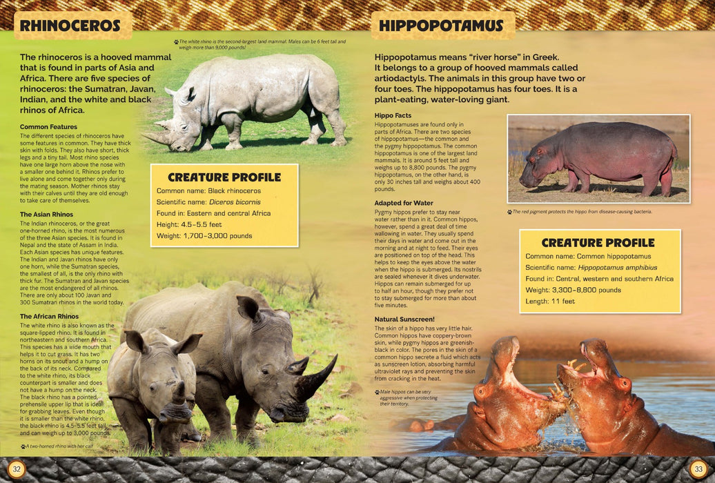 Let's Explore Amazing Animals