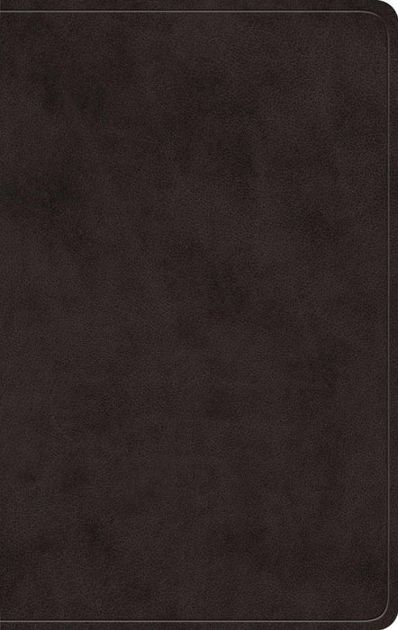 ESV Giant Print Value Personal Size Bible, Red Letter