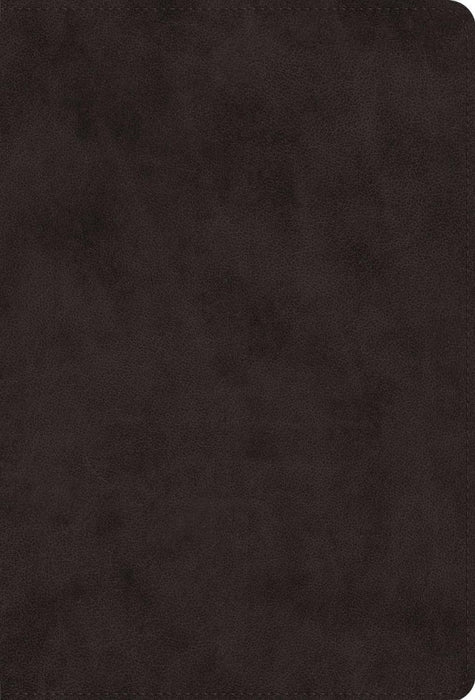 ESV Giant Print Value Thinline Bible, Black