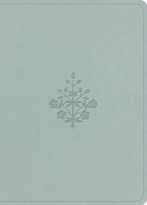 ESV Large Print Value Personal Size Bible, Red Letter