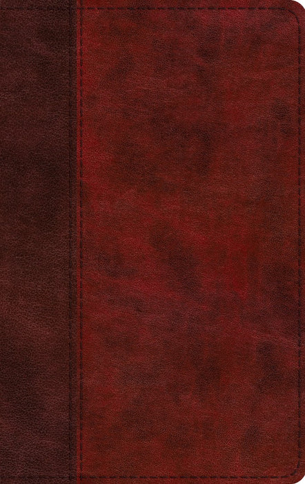 ESV Large Print Thinline Bible, Red Letter, Burgundy