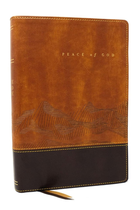 Peace Of God Bible