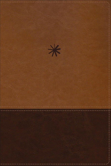 NBLA, Biblia CronolóGica De Estudio, Interior A Cuatro Color