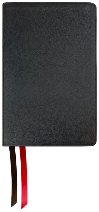 NASB 2020 Large Print Personal Size Bible, Black Leather