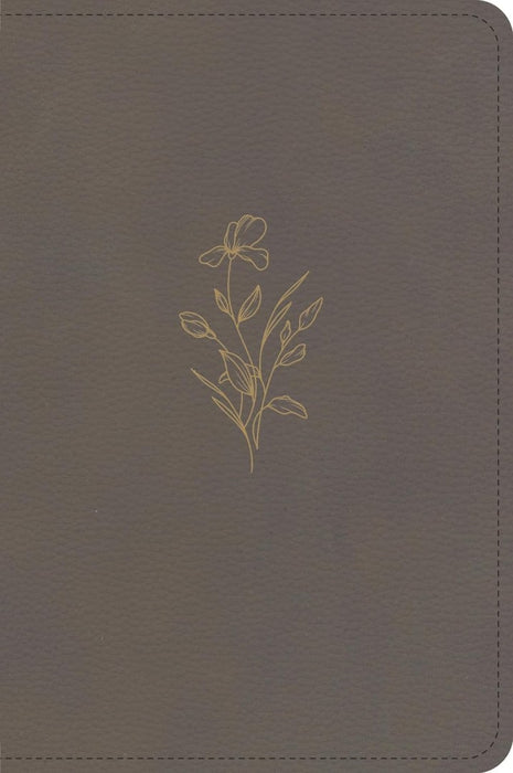 KJV Large Print Compact Reference Bible, Clay