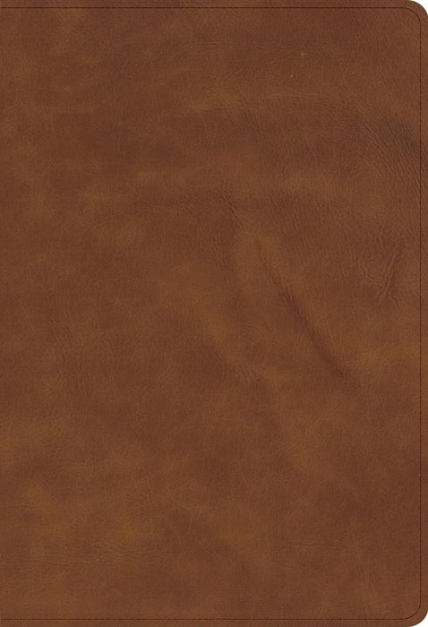 CSB Single-Column Compact Bible, Zipper Closure, Tan