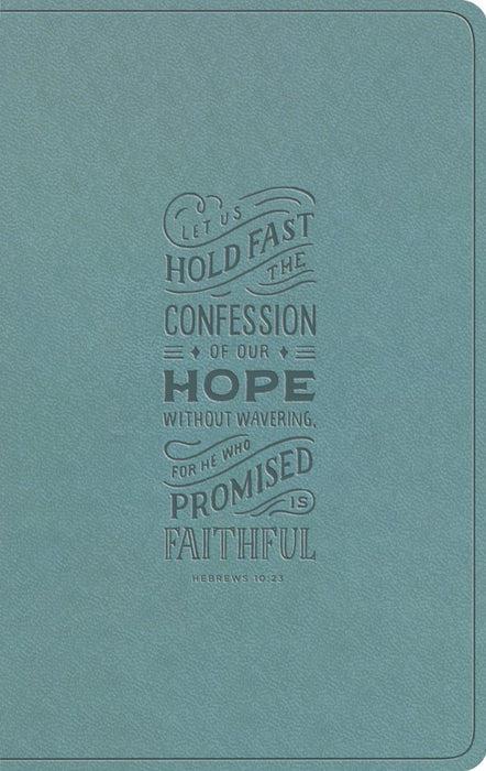 ESV Large Print Value Thinline Bible, Paris Sky