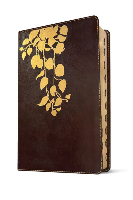 NLT Thrive Devotional Bible for Women, Filament Enabled