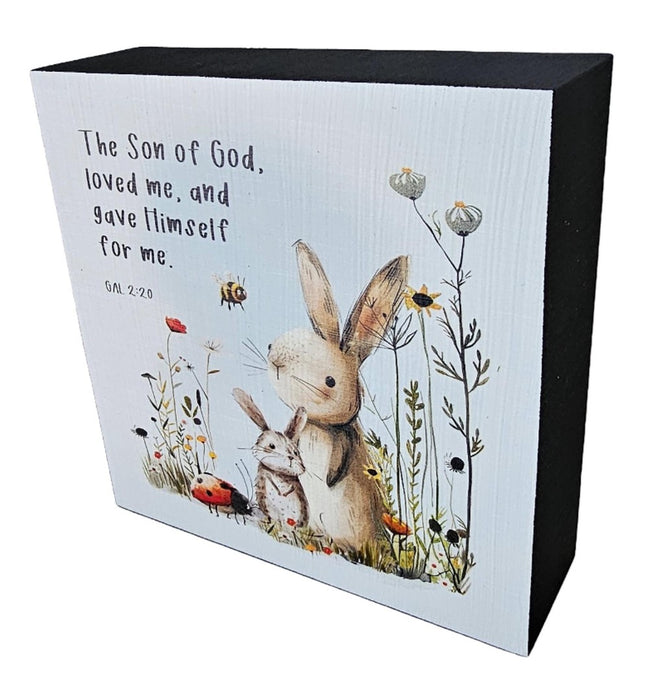 The Son Of God Loved Me - Rabbit & Mouse