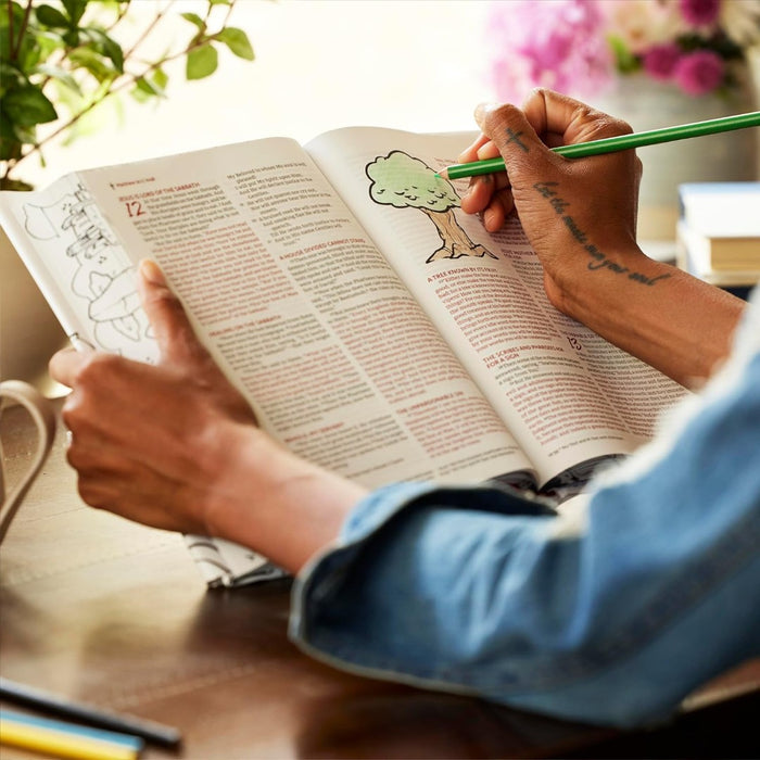 NKJV The Sketchbook Bible