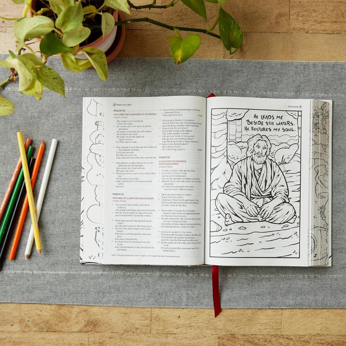 NKJV The Sketchbook Bible