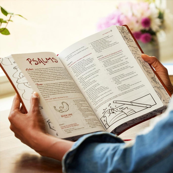 NKJV The Sketchbook Bible