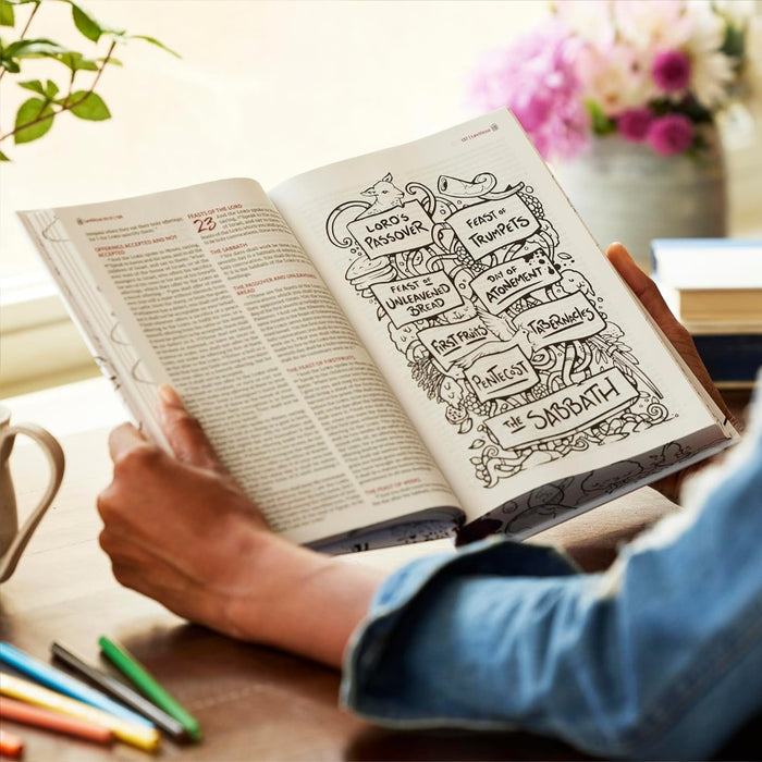 NKJV The Sketchbook Bible