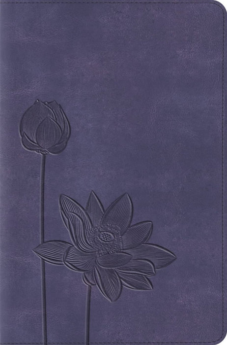 ESV Compact Bible, Lavender, Bloom Design