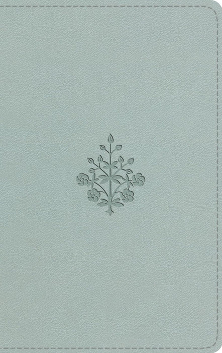 ESV Large Print Value Thinline Bible, River Stone