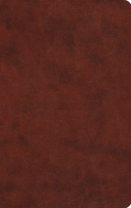 ESV Large Print Value Thinline Bible, Chestnut