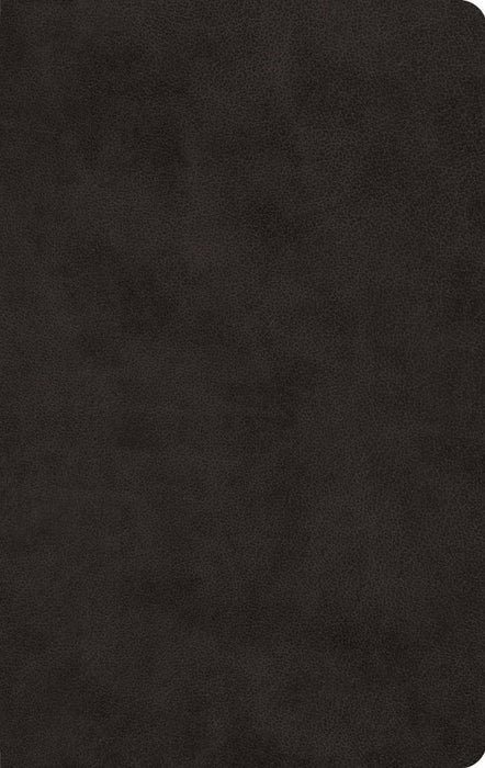 ESV Large Print Value Thinline Bible, Black