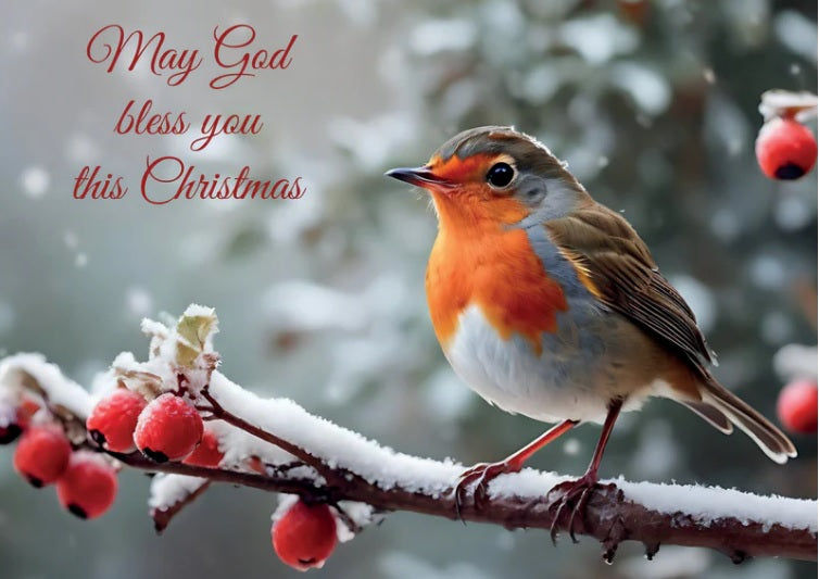 Christmas Single Robin With Words