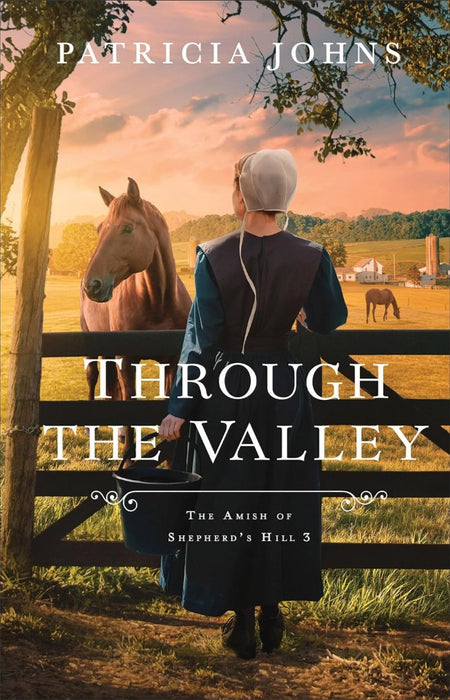 Through the Valley