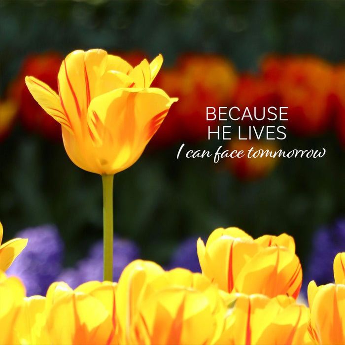 Because He Lives Christian Easter Cards (Pack of 5)