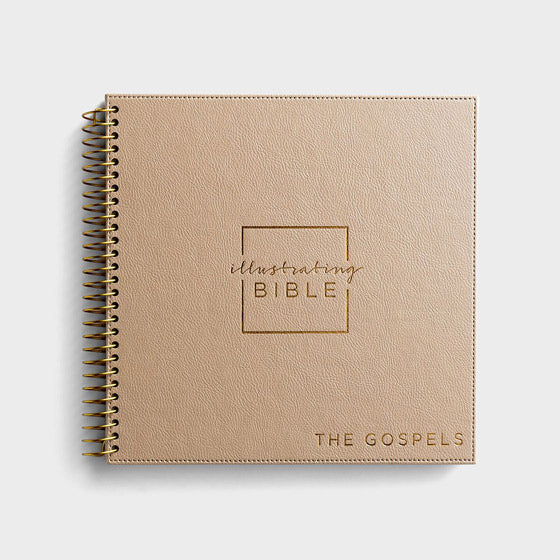 NIV Illustrating Bible - The Gospels