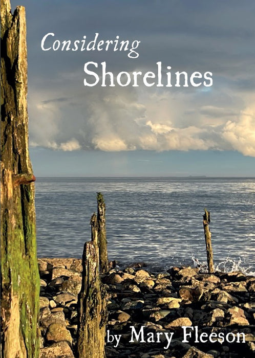 Considering Shorelines