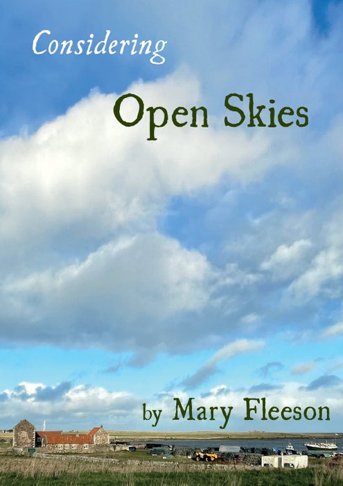 Considering Open Skies