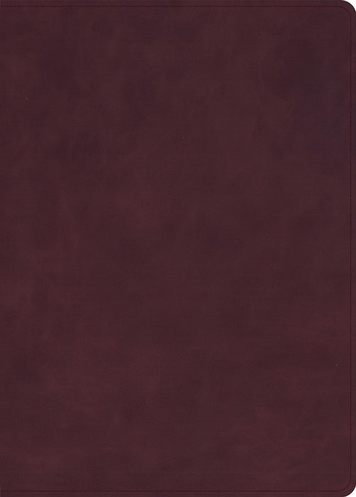 KJV Single-Column Wide-Margin Bible, Marbled Burgundy