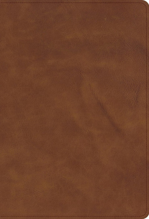 CSB Thinline Bible, Optimal Type, Marbled Chestnut Calfskin