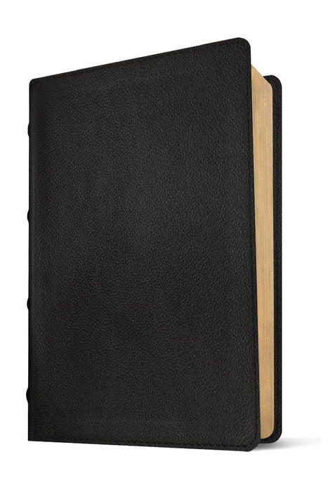 NLT Select Large Print Thinline Reference Bible, Black