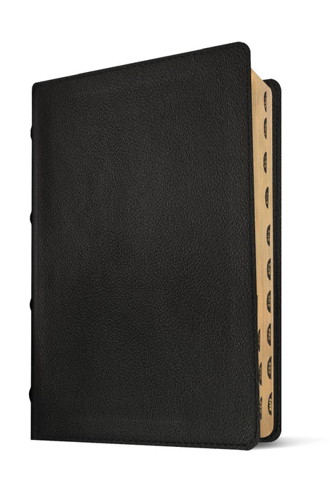 NLT Select Large Print Thinline Reference Bible, Black