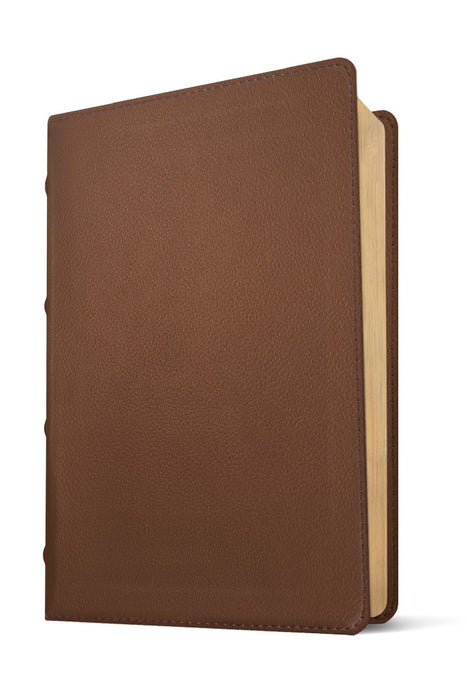 NLT Select Large Print Thinline Reference Bible, Brown