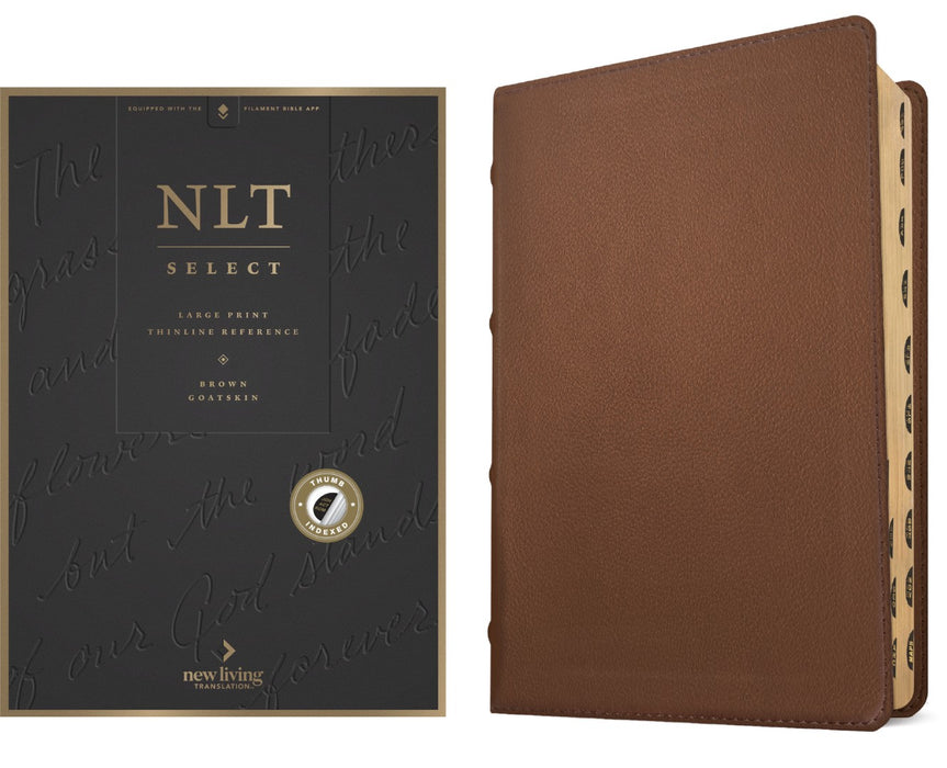 NLT Select Large Print Thinline Reference Bible, Brown