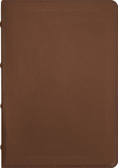 NLT Select Large Print Thinline Reference Bible, Brown