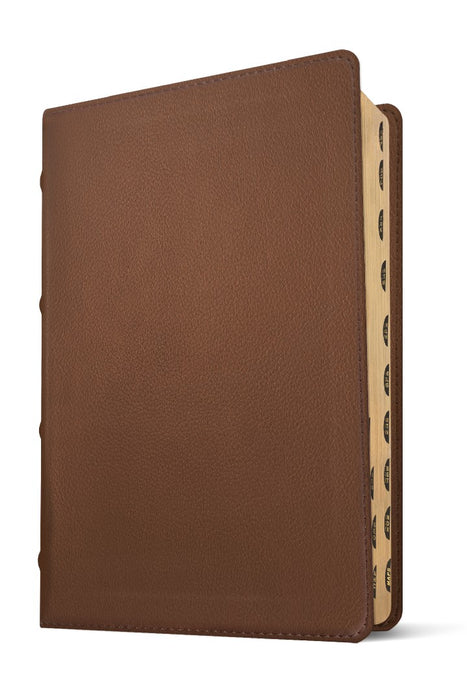 NLT Select Large Print Thinline Reference Bible, Brown