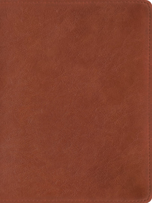 The Message Wide Margin Bible, Medium Brown