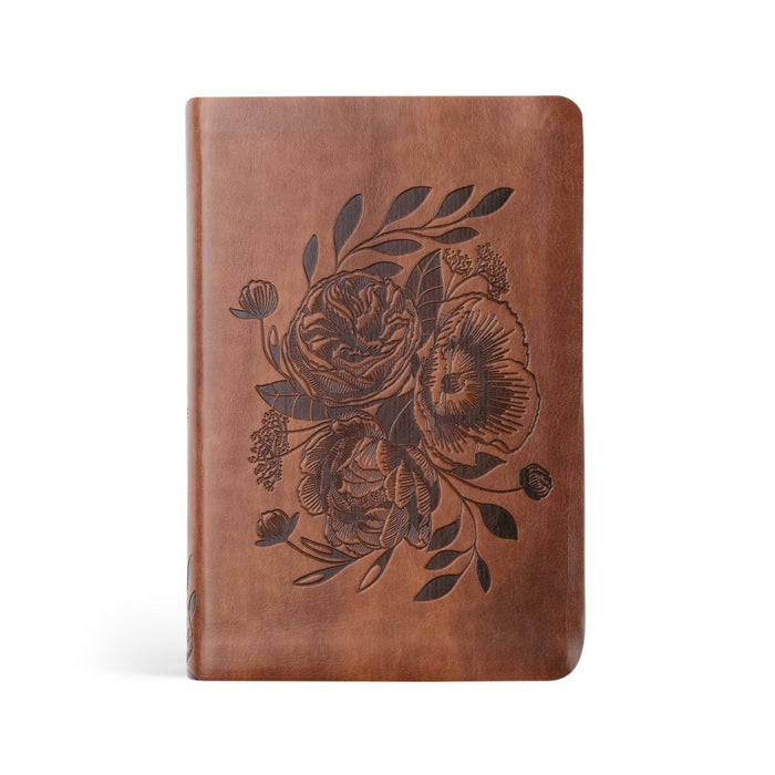 NLT Compact Bible: Aurora Theme