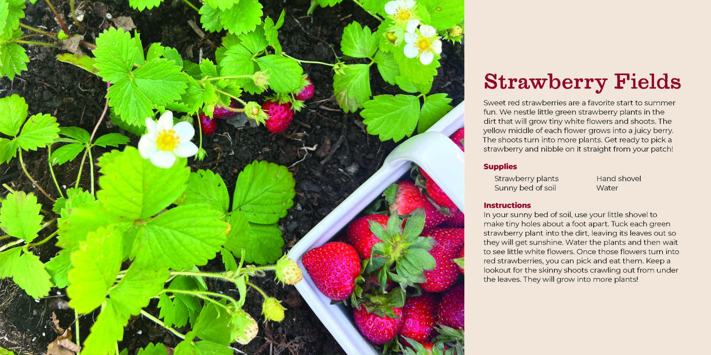 My First Homestead Book of Gardening