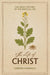 The Life of Christ